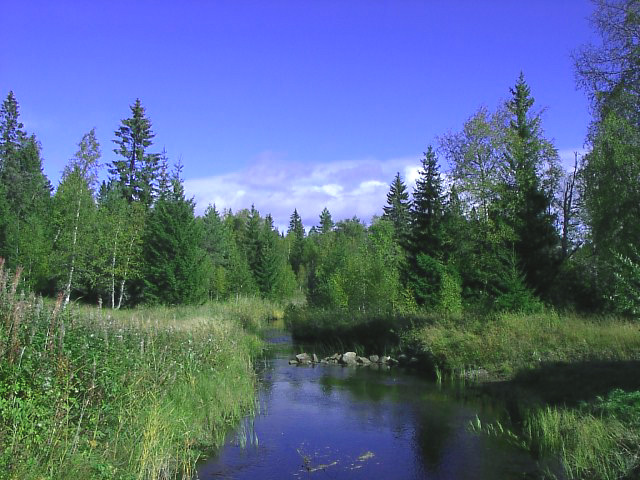 Natur in Schweden