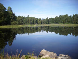 Typischer schwedischer Angelsee