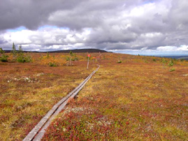 Bergwanderung im schwedischen Fjäll