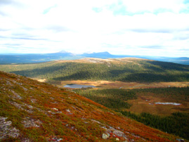 Härjedalen - Lofsdalen - Fjäll