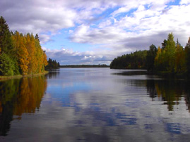 Ronnebyån in Blekinge