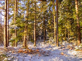 Winter in Schweden