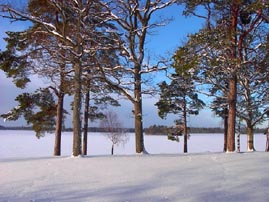 Winter in Schweden